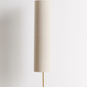 Future Rainbow Lighting Company